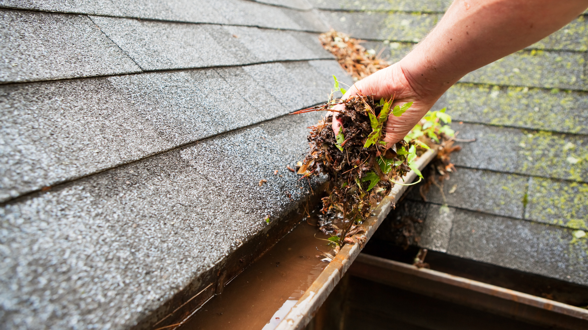 Before and after gutter cleaning
